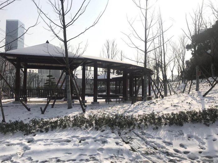 2017年武昌区“三小”绿地建设工程