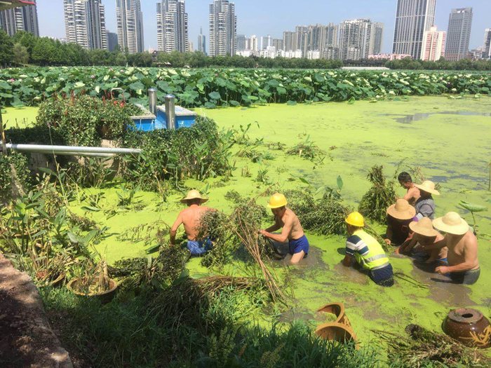 董家明渠截污及补水工程
