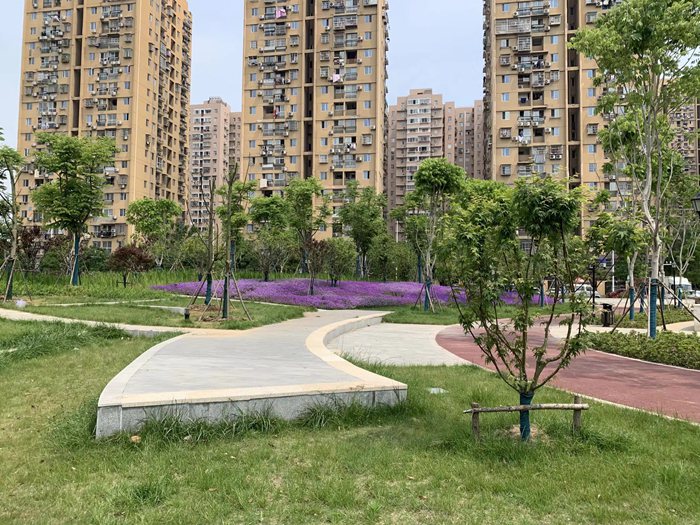 硚口区城中村控规绿地（长丰村、永利村）景观绿化工程
