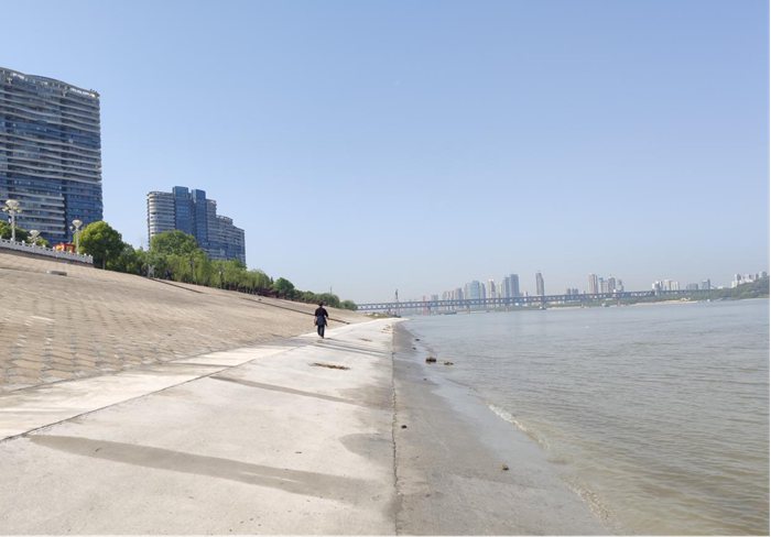 武昌市区堤护岸环境提升工程