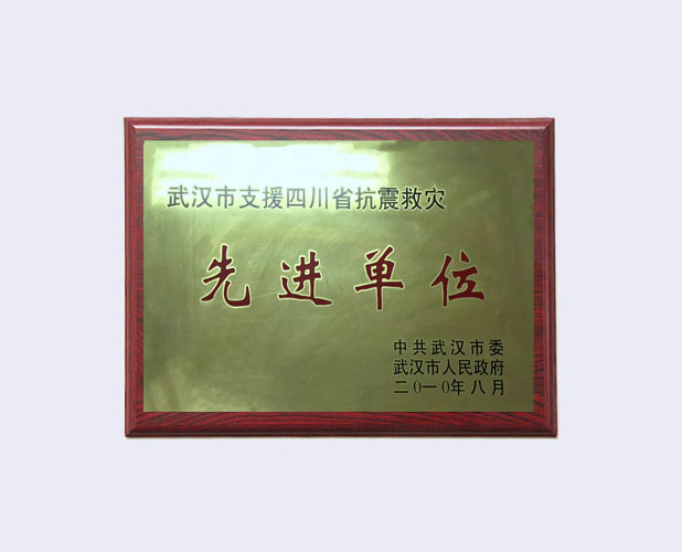 2010年武汉市支援四川省抗震救灾先进单位